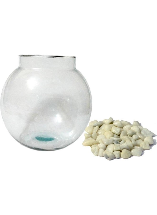 Somil Clear & Transparent Round Decorative Glass Fish Pot for Zoom View with White Stones, Indoor Home, Room Table Top, Dia -8 Inch, 18 X 18 X 18 Cm - Image 2